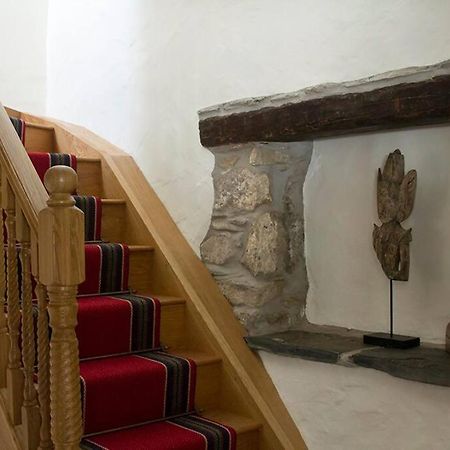 Ty-Hapus Cottage Jordanston Dış mekan fotoğraf